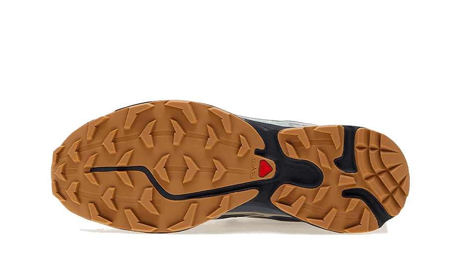 Advanced XT-6 Gore-Tex Carbon Bering Sea - NEWTREATS - SNEAKERS STORE