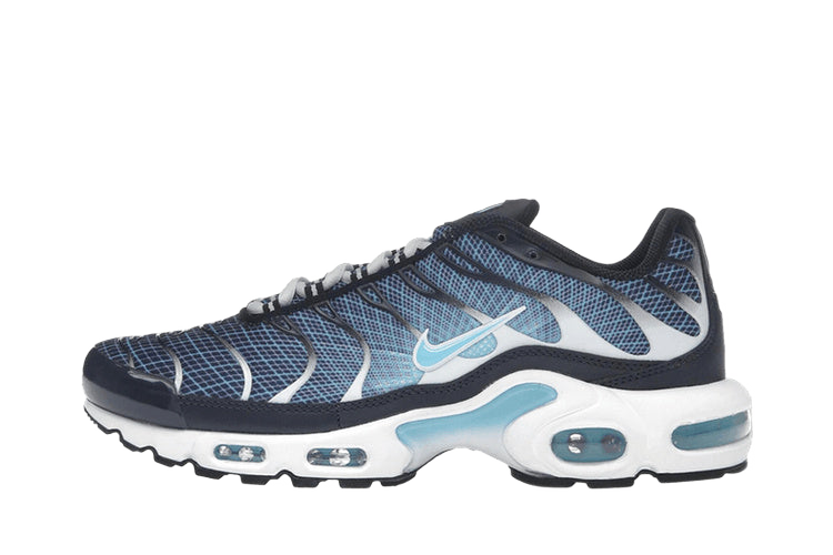 Nike Air Max Plus Dark Obsidian — transparent background
