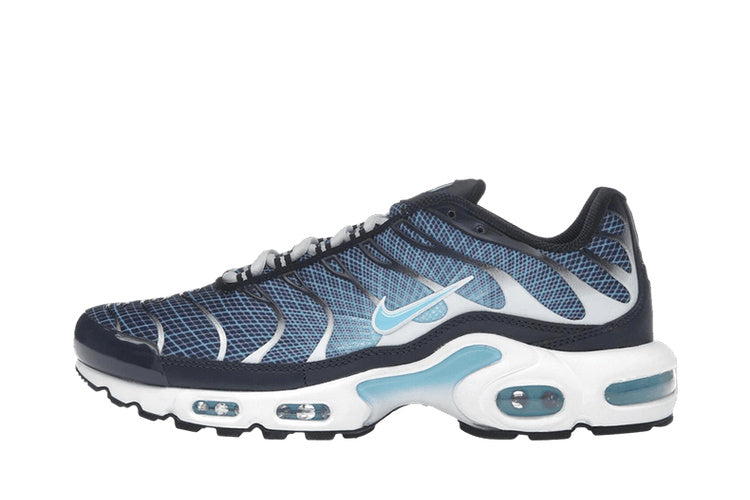 Nike Air Max Plus Dark Obsidian