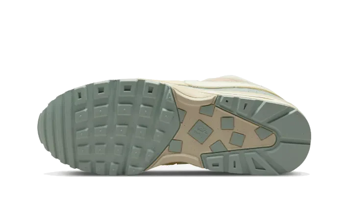 Air Max BW Light Stone - DM9094-100