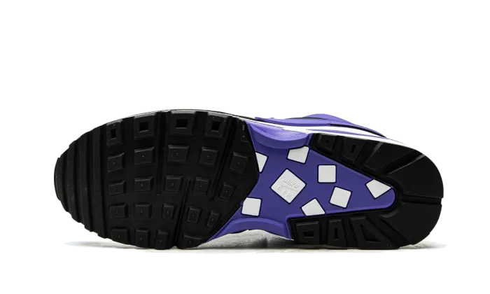 Air Max BW Persian Violet - DJ6124-001