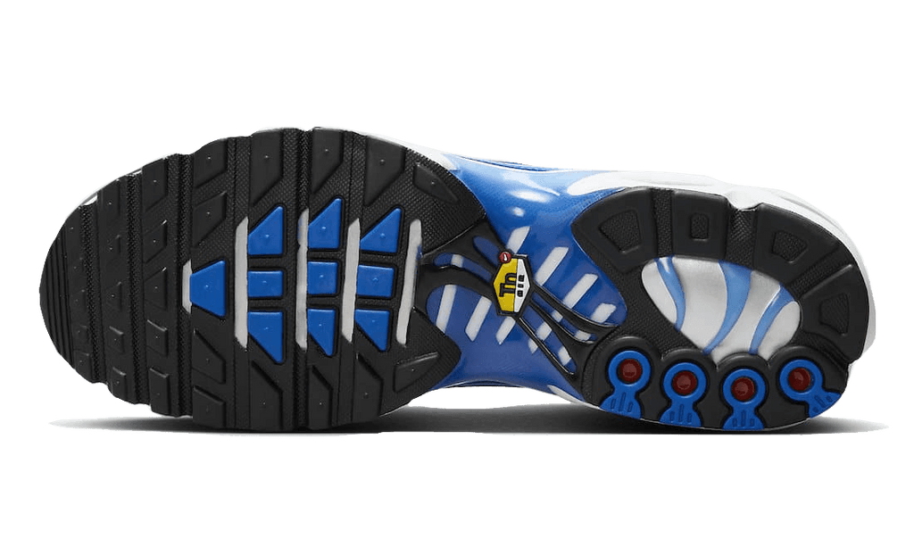 Air Max Plus Light Photography Old Royal - NEWTREATS - SNEAKERS STORE