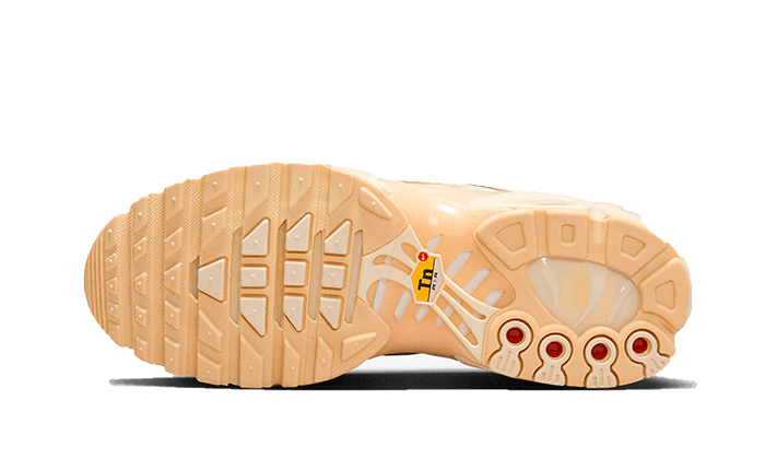 Air Max Plus Sail Team Red - NEWTREATS - SNEAKERS STORE