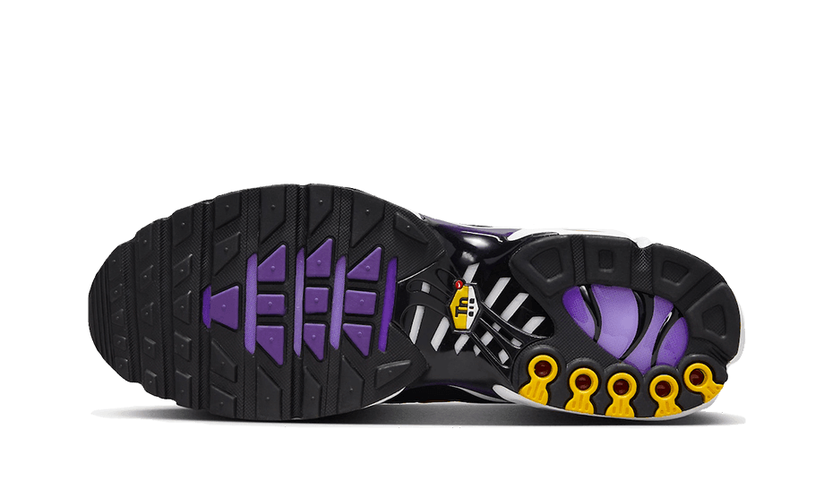 Air Max Plus Voltage Purple - NEWTREATS - SNEAKERS STORE
