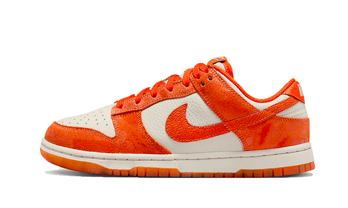 Dunk Low Cracked Orange - NEWTREATS - SNEAKERS STORE