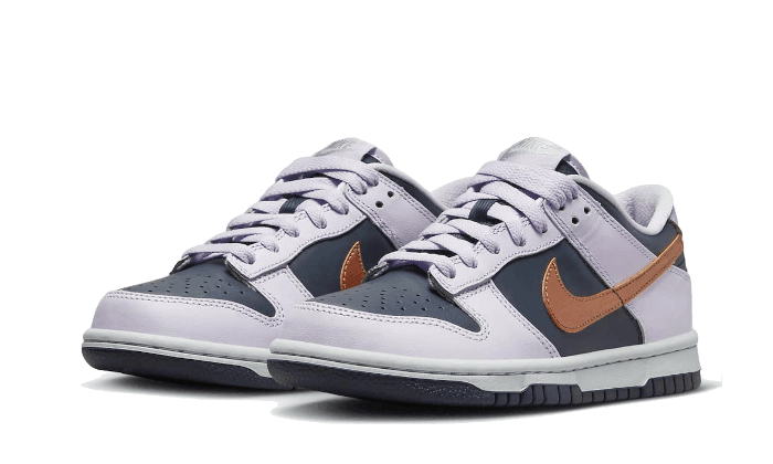 Dunk Low SE Copper Swoosh - NEWTREATS - SNEAKERS STORE