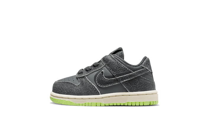 Dunk Low Swoosh Shadow Iron Grey Bébé (TD) - NEWTREATS - SNEAKERS STORE