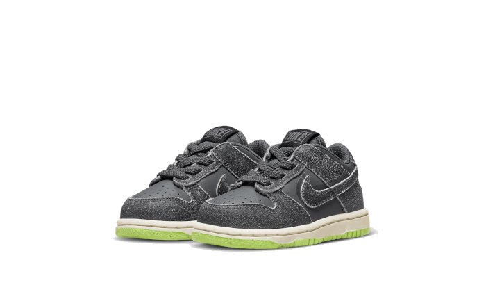 Dunk Low Swoosh Shadow Iron Grey Bébé (TD) - NEWTREATS - SNEAKERS STORE