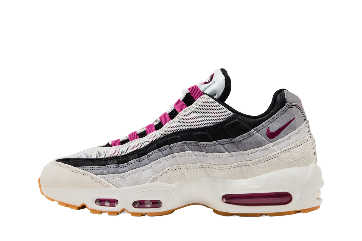 Nike Air Max 95 SB Cactus Flower — transparent background