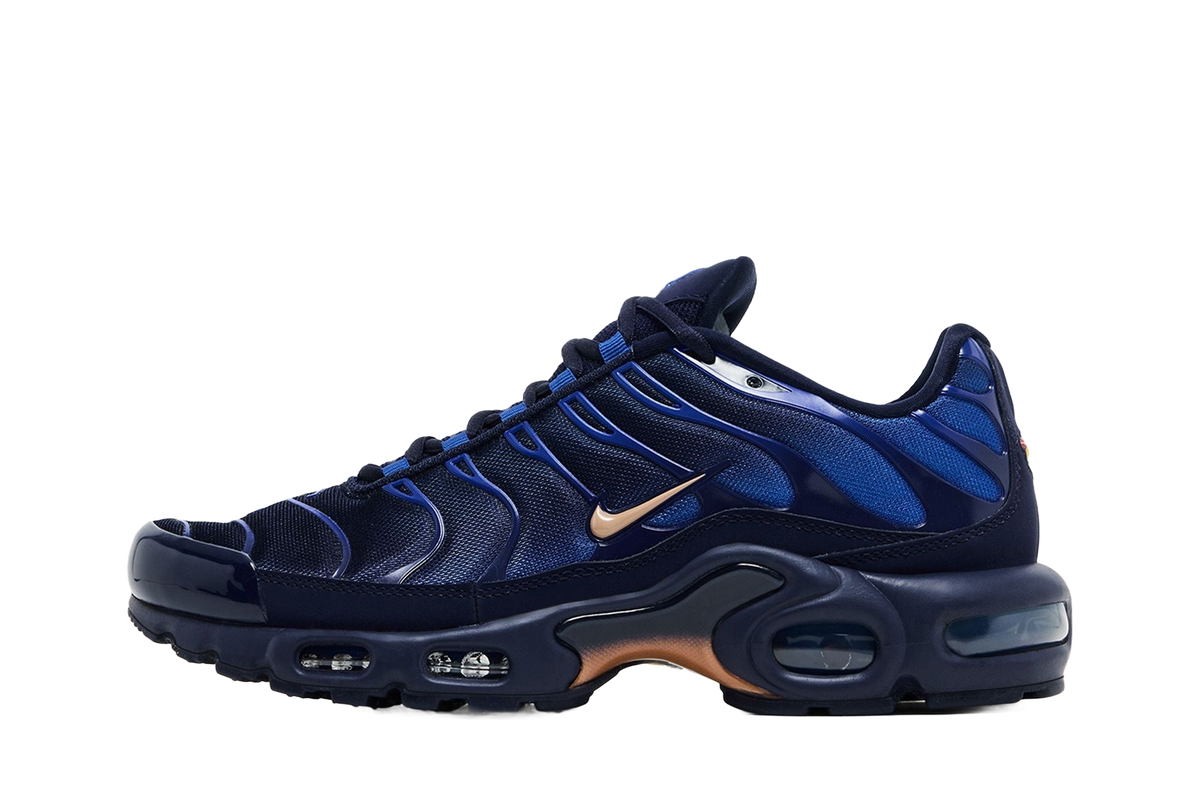 Nike Air Max Plus French Football Federation — transparent background