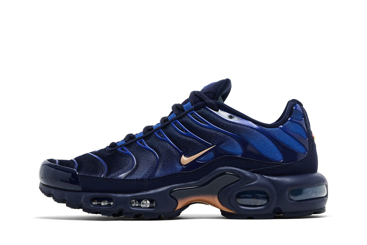 Nike Air Max Plus French Football Federation