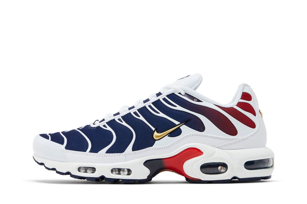 Nike Air Max Plus PSG