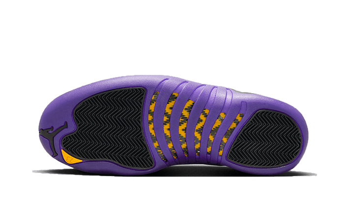 Air Jordan 12 Field Purple - NEWTREATS - SNEAKERS STORE