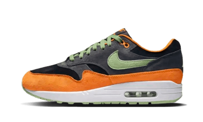 Air Max 1 PRM Duck Anthracite - NEWTREATS - SNEAKERS STORE