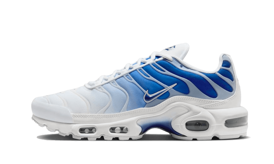 Air Max Plus Blue Fade - NEWTREATS - SNEAKERS STORE