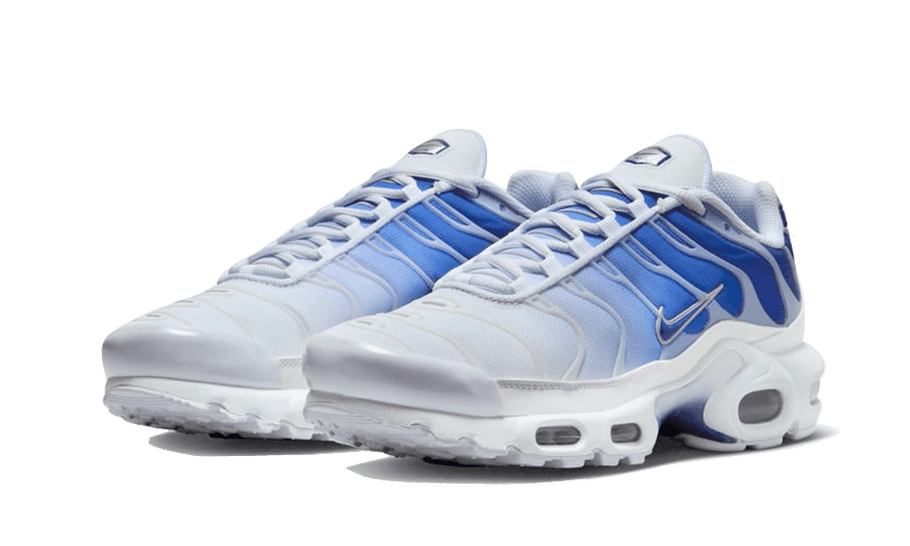 Air Max Plus Blue Fade - NEWTREATS - SNEAKERS STORE