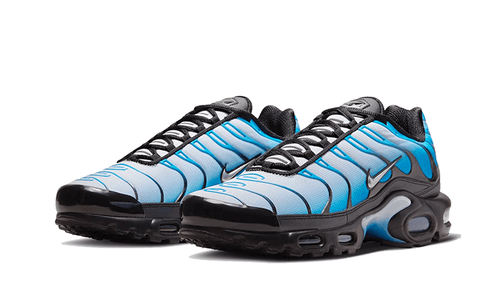 Air Max Plus Blue Gradient - NEWTREATS - SNEAKERS STORE