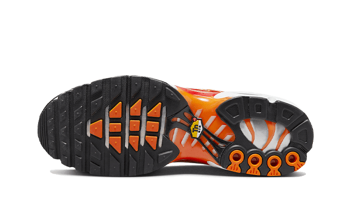 Air Max Plus Light Photography - NEWTREATS - SNEAKERS STORE