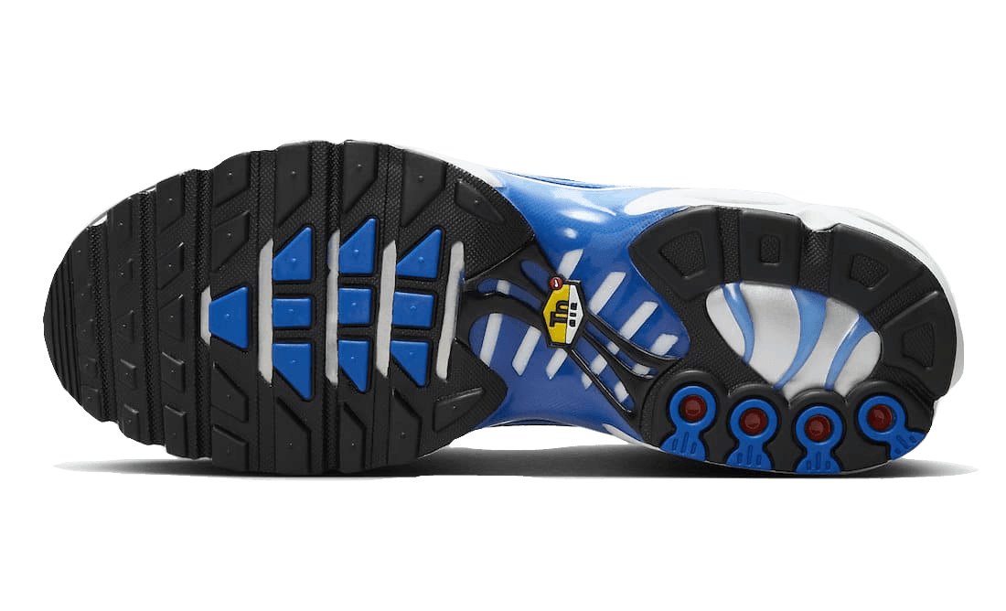 Air Max Plus Light Photography Old Royal - NEWTREATS - SNEAKERS STORE