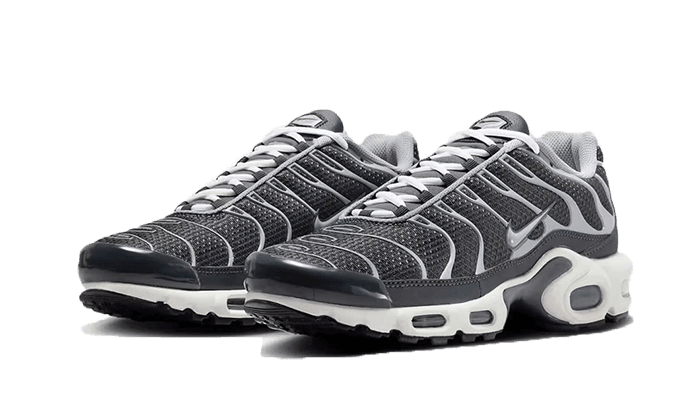 Air Max Plus SE Greyscale Cool Grey - NEWTREATS - SNEAKERS STORE