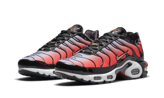 Air Max Plus Sisterhood - NEWTREATS - SNEAKERS STORE