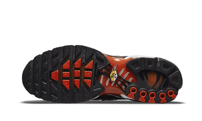 Air Max Plus Sunset Gradient - NEWTREATS - SNEAKERS STORE