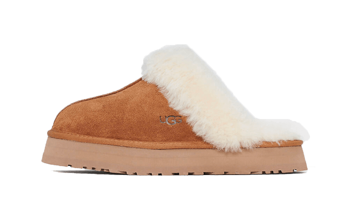 Disquette Slipper Chestnut - NEWTREATS - SNEAKERS STORE