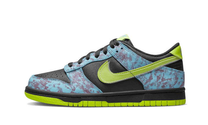 Dunk Low Acid Wash - NEWTREATS - SNEAKERS STORE