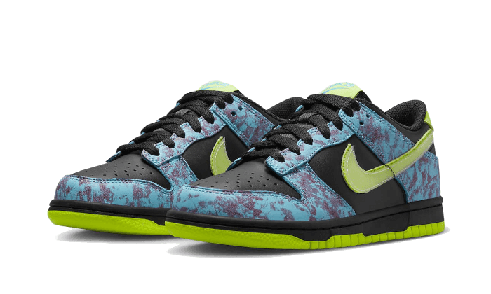 Dunk Low Acid Wash - NEWTREATS - SNEAKERS STORE