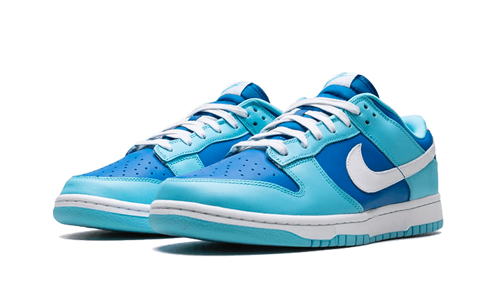 Dunk Low Argon - NEWTREATS - SNEAKERS STORE