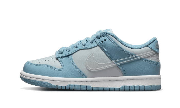 Dunk Low Clear Swoosh - NEWTREATS - SNEAKERS STORE