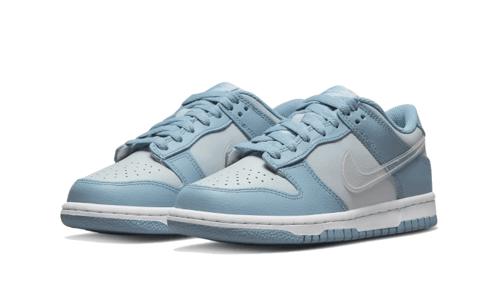 Dunk Low Clear Swoosh - NEWTREATS - SNEAKERS STORE