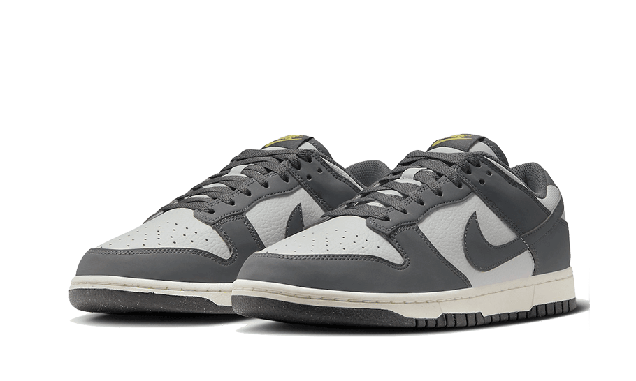 Dunk Low Next Nature Iron Grey Lightning - NEWTREATS - SNEAKERS STORE