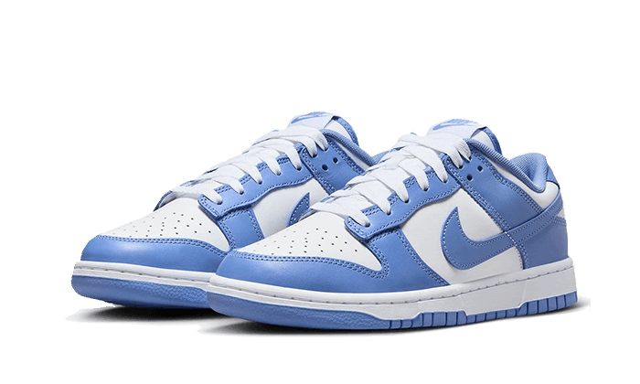 Dunk Low Polar Blue - NEWTREATS - SNEAKERS STORE