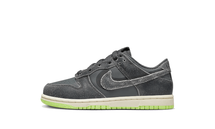 Dunk Low Swoosh Shadow Iron Grey Enfant (PS) - NEWTREATS - SNEAKERS STORE