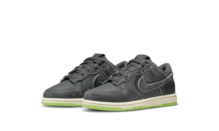 Dunk Low Swoosh Shadow Iron Grey Enfant (PS) - NEWTREATS - SNEAKERS STORE