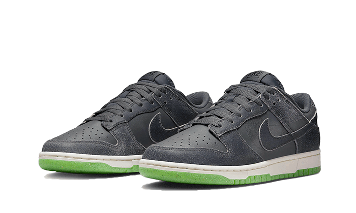 Dunk Low Swoosh Shadow Iron Grey - NEWTREATS - SNEAKERS STORE