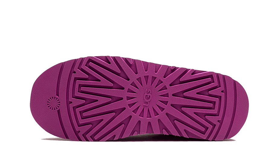 Tazz Slipper Mangosteen - NEWTREATS - SNEAKERS STORE